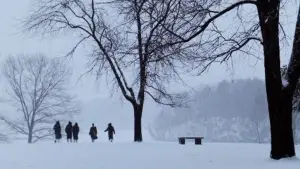 Задник к фильму "Общество мёртвых поэтов" #573903