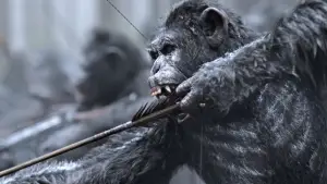 Задник к фильму "Планета обезьян: Война" #585975