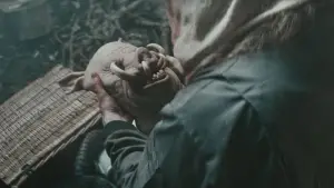 Задник к фильму "Пятачок. Кровь и жёлуди" #715709