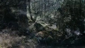 Задник к фильму "" #547801