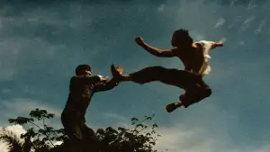 Задник к фильму "Большой босс" #726725