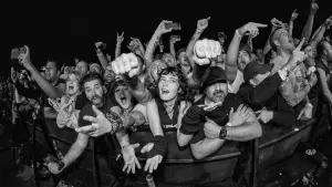 Задник к фильму "40 Years of Fuckin