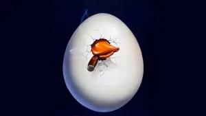 Задник к фильму "Говард-утка" #354146