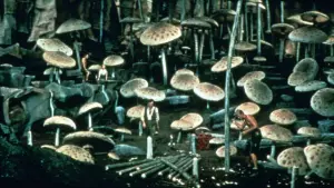 Задник к фильму "Путешествие к центру Земли" #248353