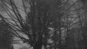 Задник к фильму "" #449267