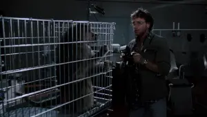 Задник к фильму "Ярость зверя" #466653