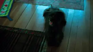 Задник к фильму "Умри, моя любовь" #513543