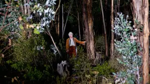 Задник к фильму "Свобода" #498254