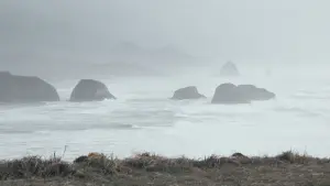 Задник к фильму "Балбесы" #210072