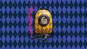 Задник к фильму "Аргайл: Супершпион" #170843