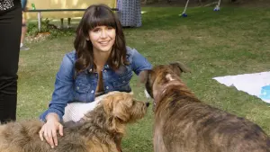 Задник к фильму "Собачьи дни" #440396