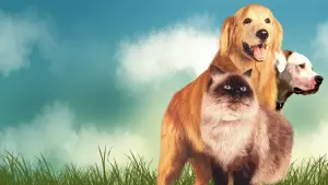 Задник к фильму "Дорога домой: Невероятное путешествие" #251052