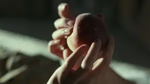 Задник к фильму "Назови меня своим именем" #595975