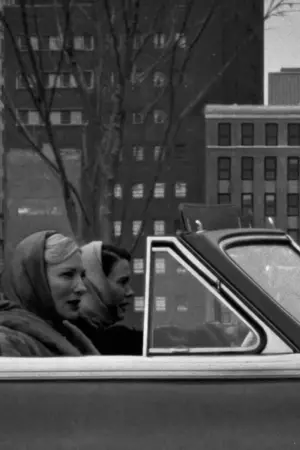 Постер к фильму "Кэрол" #311501