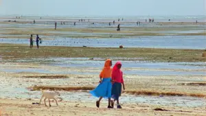 Задник к фильму "" #368795