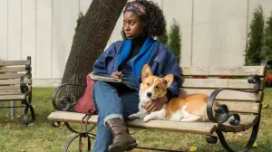 Задник к фильму "Собачья жизнь" #204543