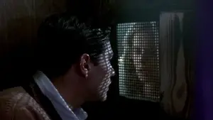 Задник к фильму "Новый кинотеатр «Парадизо»" #670411