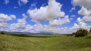 Задник к фильму "Оклахома!" #358344