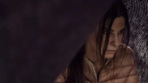 Задник к фильму "Птичий короб" #258448