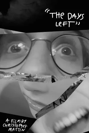 Постер к фильму "The Days Left"