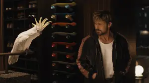 Задник к фильму "Каскадёры" #572000