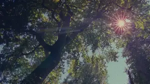 Задник к фильму "" #659748