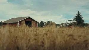 Задник к фильму "Timo: the Lord of Potato" #792001