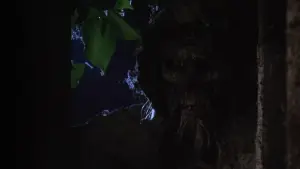 Задник к фильму "Могилы слепых мертвецов" #470086