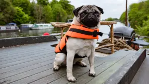 Видео к фильму Патрик | Фильм - Патрик 2018(Русский Трейлер №2 )Комедия - Patrick, 2018