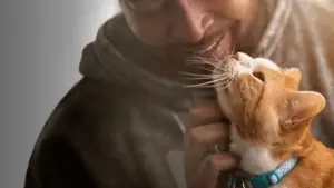 Задник к фильму "" #670834