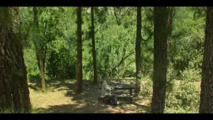 Задник к фильму "" #453495