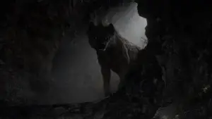 Задник к фильму "Король Лев" #581527