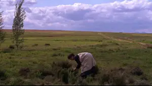 Задник к фильму "Доктор Живаго" #852652