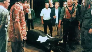 Задник к фильму "" #717165