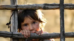 Задник к фильму "Страна меда" #452799