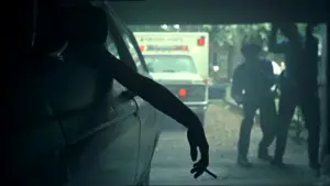 Задник к фильму "Девственницы-самоубийцы" #703951