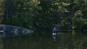 Задник к фильму "Тебя никогда здесь не было" #279222