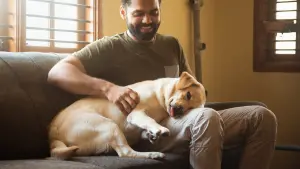 Задник к фильму "777 Чарли" #418988