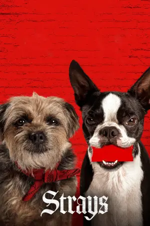 Постер к фильму "Отвязные дворняги" #12992