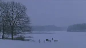 Задник к фильму "Общество мёртвых поэтов" #573880