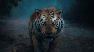 Задник к фильму "" #530173