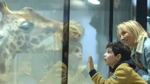 Задник к фильму "В шлепанцах у подножья Гималаев" #649716