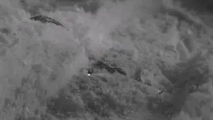 Задник к фильму "Бойцовская элегия" #765012