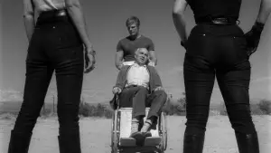 Задник к фильму "Быстрая Кошечка! Убей, Убей!" #424400