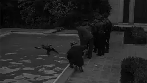 Задник к фильму "Сансет бульвар" #669951