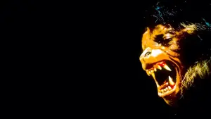 Задник к фильму "Американский оборотень в Лондоне" #220322