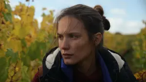 Задник к фильму "Возвращение в Бургундию" #255078