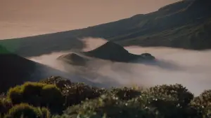 Задник к фильму "" #666893