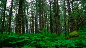 Задник к фильму "" #200325