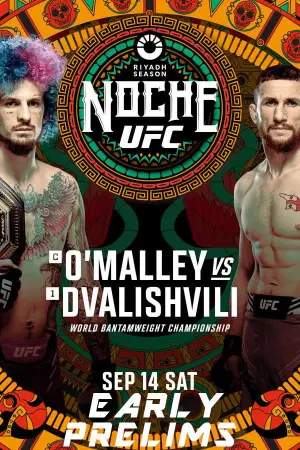 Постер к фильму "UFC 306: O